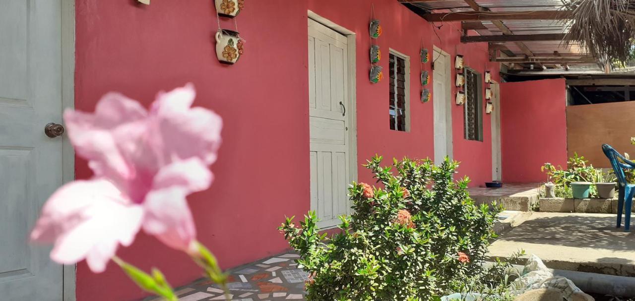 Guest House Nena Moyogalpa Exterior foto
