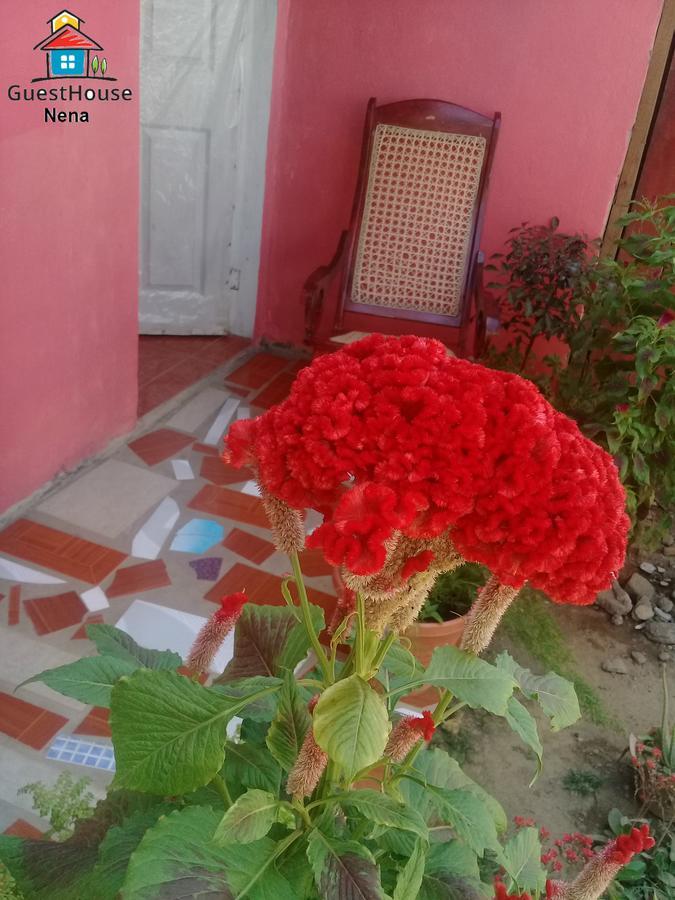 Guest House Nena Moyogalpa Exterior foto
